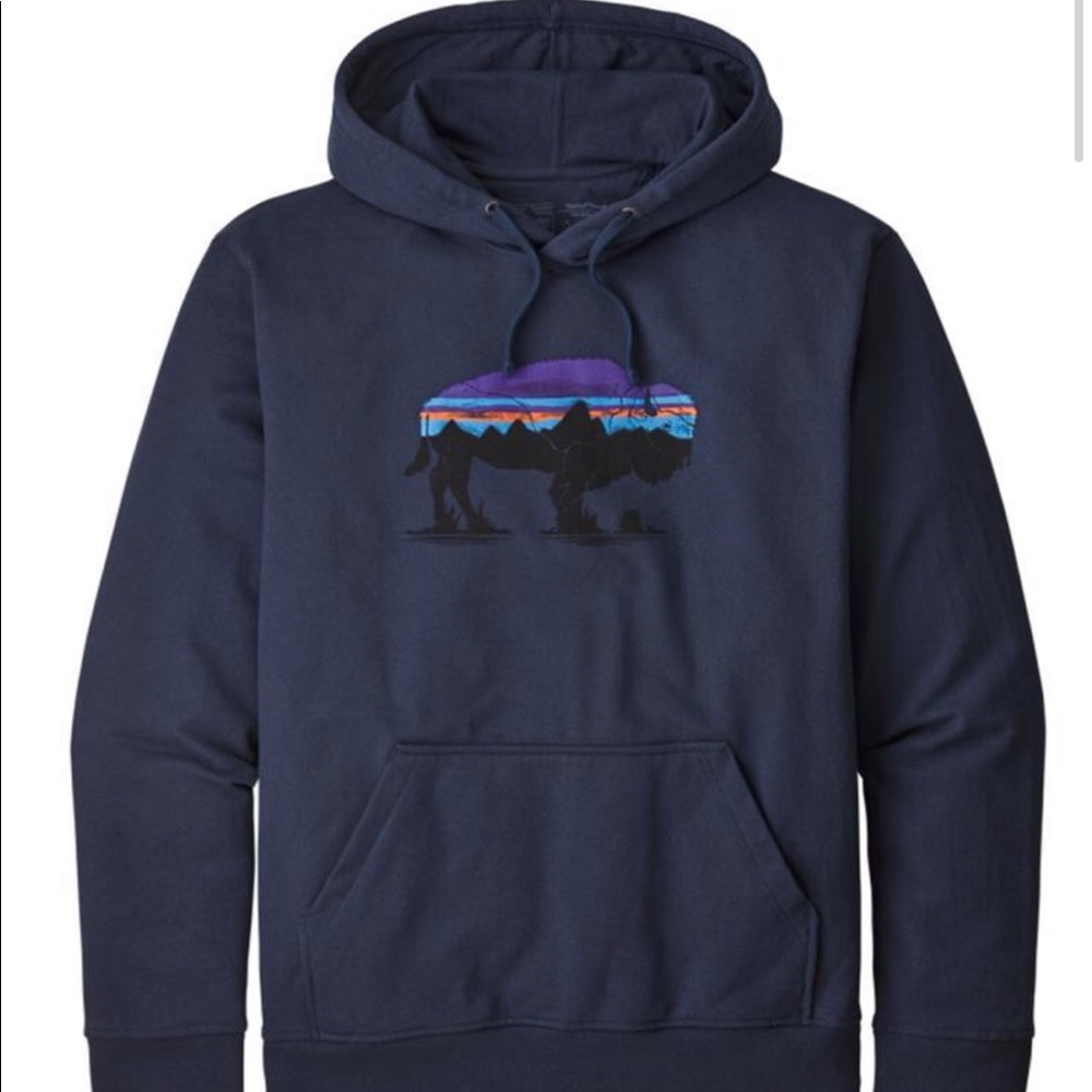 Patagonia hoodie new